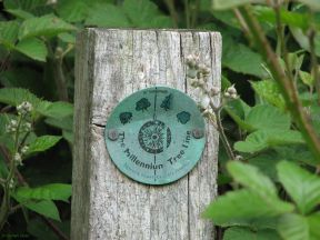 Greenwich Meridian Marker; England; Lincolnshire; Winceby